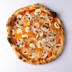 FUNGHI